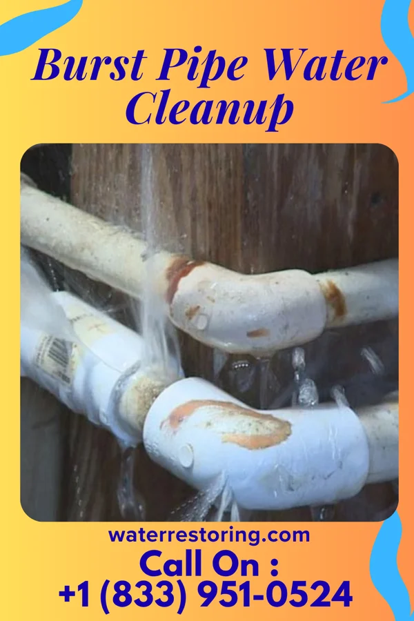 Burst Pipe Water Cleanup in Appleton, WI