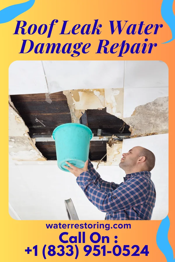 Roof Leak Water Damage Repair in Appleton, WI