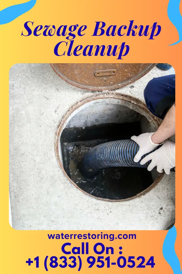 Sewage Backup Cleanup in Appleton, WI