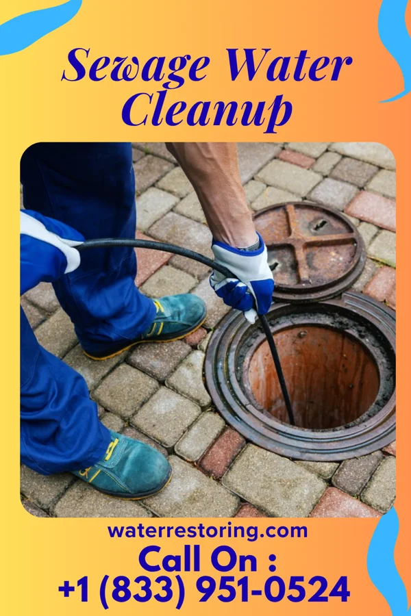 Sewage Water Cleanup in Appleton, WI